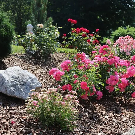 Zur Alpenruhe * Seeboden